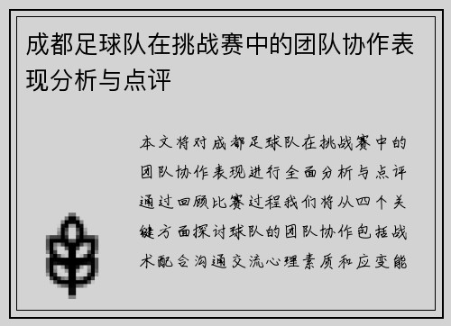 成都足球队在挑战赛中的团队协作表现分析与点评
